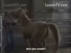 The Farmer and the Stallion